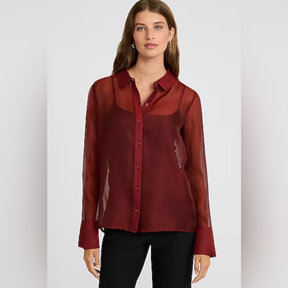 Express Sheer Button Down Blouse - image 1